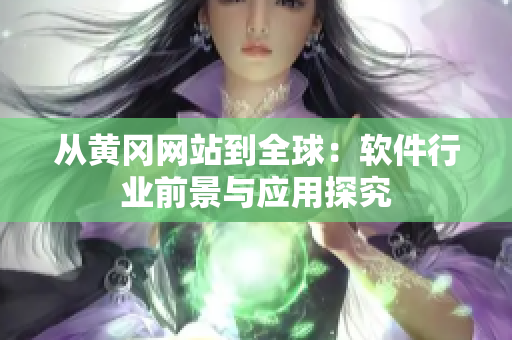 从黄冈网站到全球：软件行业前景与应用探究
