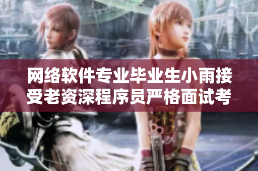 网络软件专业毕业生小雨接受老资深程序员严格面试考验