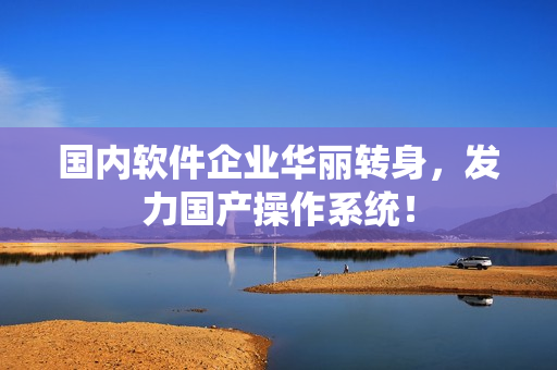国内软件企业华丽转身，发力国产操作系统！