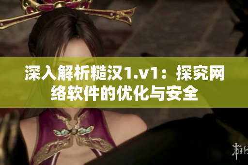 深入解析糙汉1.v1：探究网络软件的优化与安全