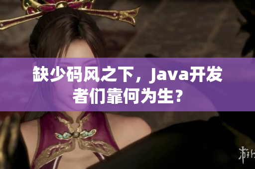 缺少码风之下，Java开发者们靠何为生？