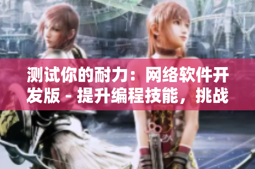 测试你的耐力：网络软件开发版 - 提升编程技能，挑战自我。