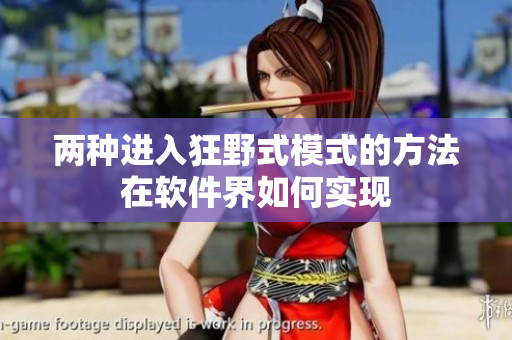 两种进入狂野式模式的方法在软件界如何实现