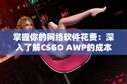 掌握你的网络软件花费：深入了解CSGO AWP的成本