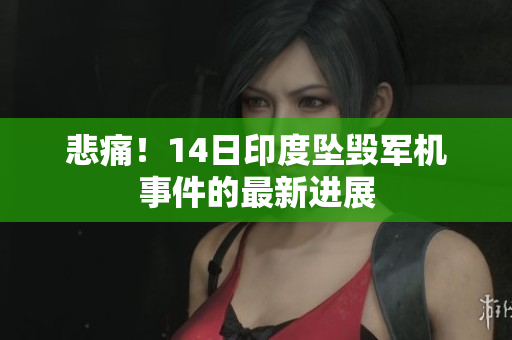 悲痛！14日印度坠毁军机事件的最新进展