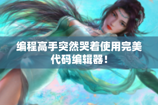编程高手突然哭着使用完美代码编辑器！
