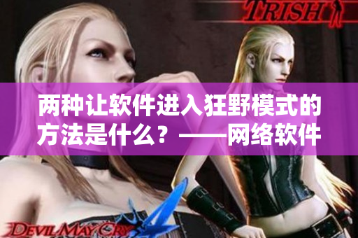 两种让软件进入狂野模式的方法是什么？——网络软件编辑探究