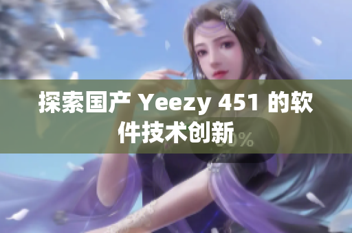 探索国产 Yeezy 451 的软件技术创新