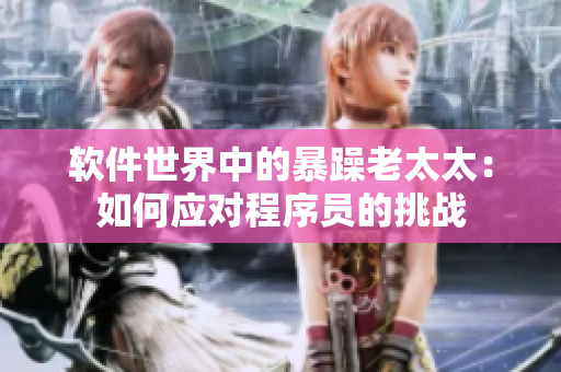 软件世界中的暴躁老太太：如何应对程序员的挑战