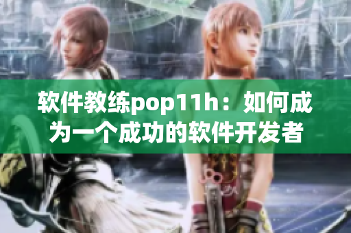 软件教练pop11h：如何成为一个成功的软件开发者