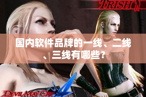 国内软件品牌的一线、二线、三线有哪些？