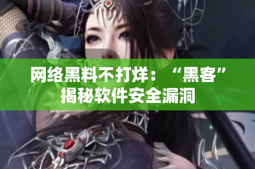 网络黑料不打烊：“黑客”揭秘软件安全漏洞