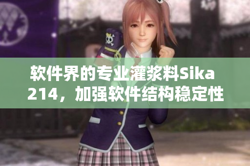 软件界的专业灌浆料Sika 214，加强软件结构稳定性