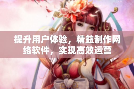 提升用户体验，精益制作网络软件，实现高效运营