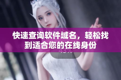 快速查询软件域名，轻松找到适合您的在线身份