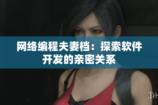 网络编程夫妻档：探索软件开发的亲密关系