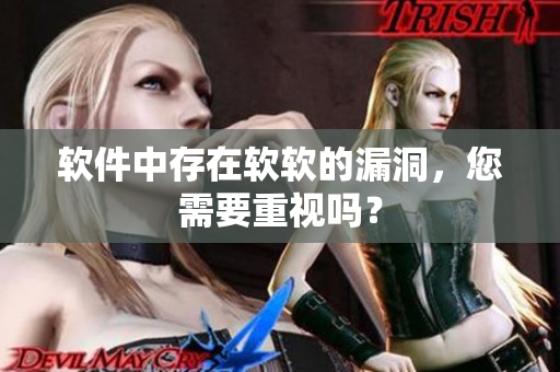 软件中存在软软的漏洞，您需要重视吗？