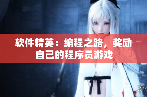 软件精英：编程之路，奖励自己的程序员游戏