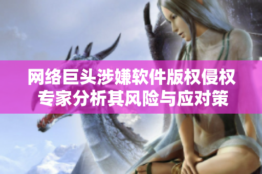 网络巨头涉嫌软件版权侵权 专家分析其风险与应对策略