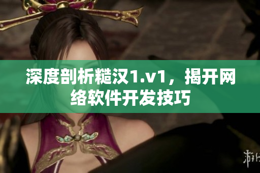 深度剖析糙汉1.v1，揭开网络软件开发技巧