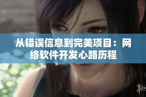 从错误信息到完美项目：网络软件开发心路历程