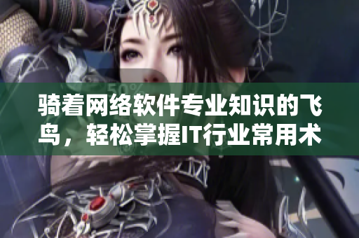 骑着网络软件专业知识的飞鸟，轻松掌握IT行业常用术语