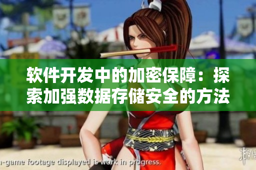 软件开发中的加密保障：探索加强数据存储安全的方法