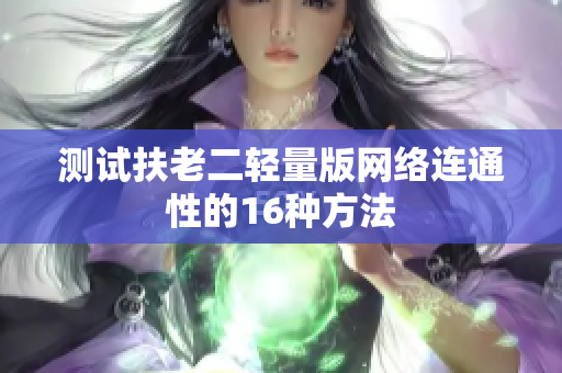 测试扶老二轻量版网络连通性的16种方法