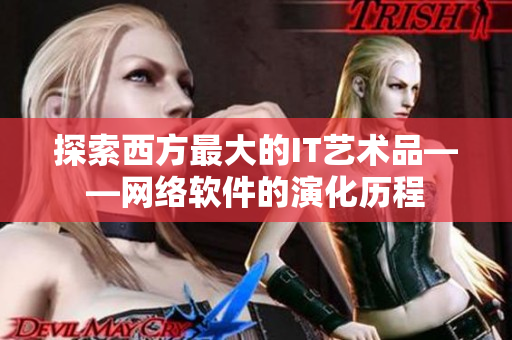 探索西方最大的IT艺术品——网络软件的演化历程