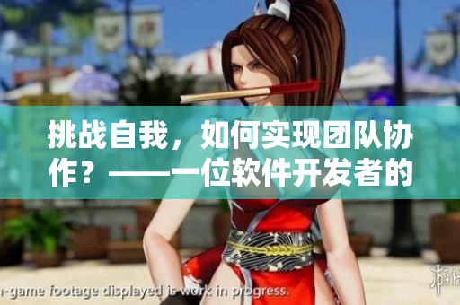 挑战自我，如何实现团队协作？——一位软件开发者的经验分享