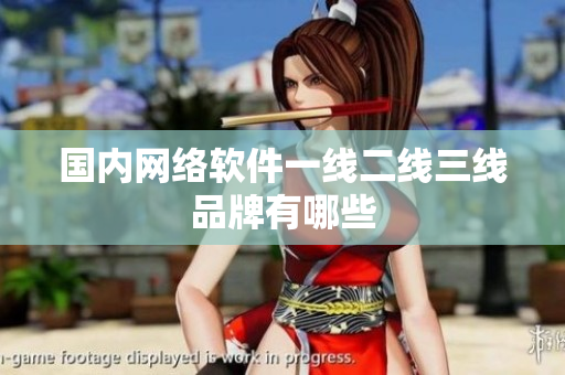 国内网络软件一线二线三线品牌有哪些