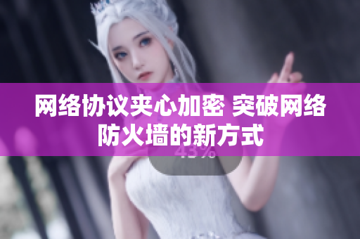 网络协议夹心加密 突破网络防火墙的新方式
