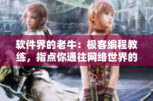 软件界的老牛：极客编程教练，指点你通往网络世界的捷径