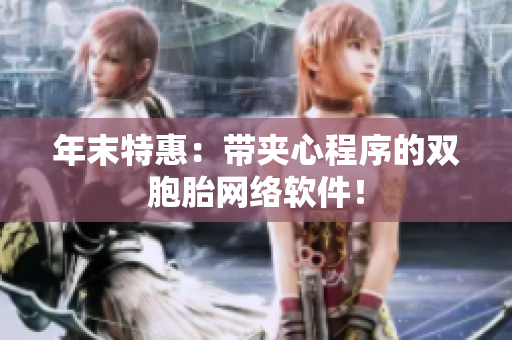 年末特惠：带夹心程序的双胞胎网络软件！