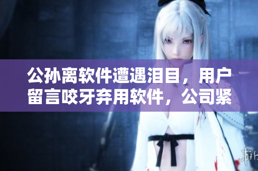公孙离软件遭遇泪目，用户留言咬牙弃用软件，公司紧急跟进解决问题！