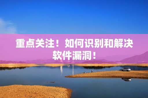 重点关注！如何识别和解决软件漏洞！