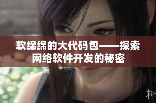 软绵绵的大代码包——探索网络软件开发的秘密