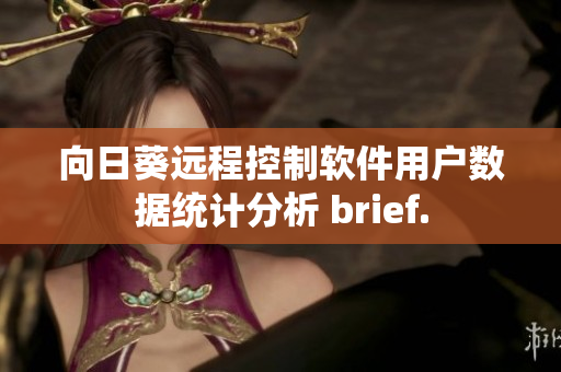 向日葵远程控制软件用户数据统计分析 brief.