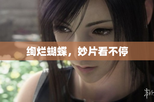 绚烂蝴蝶，妙片看不停