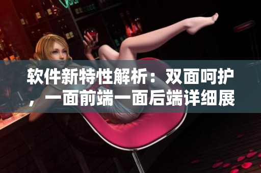 软件新特性解析：双面呵护，一面前端一面后端详细展示视频