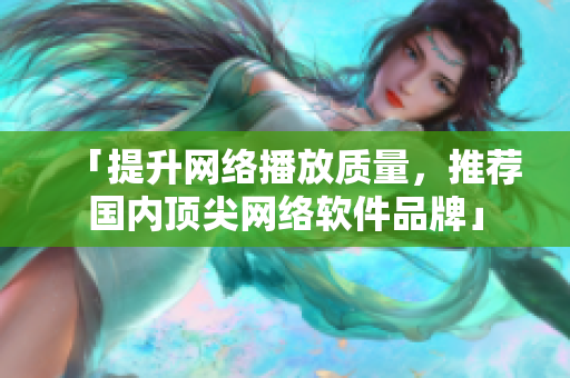「提升网络播放质量，推荐国内顶尖网络软件品牌」