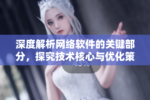深度解析网络软件的关键部分，探究技术核心与优化策略