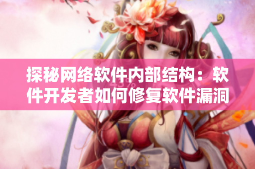 探秘网络软件内部结构：软件开发者如何修复软件漏洞