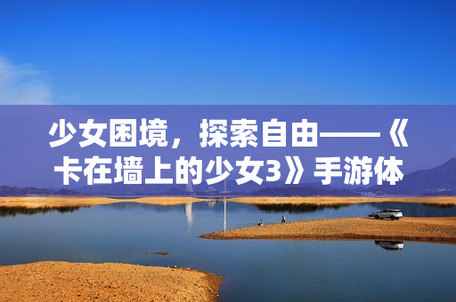 少女困境，探索自由——《卡在墙上的少女3》手游体验分享