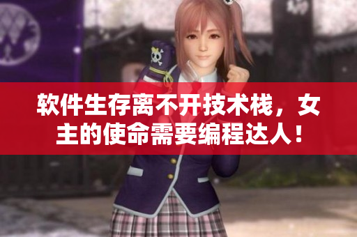 软件生存离不开技术栈，女主的使命需要编程达人！