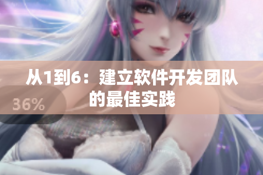 从1到6：建立软件开发团队的最佳实践