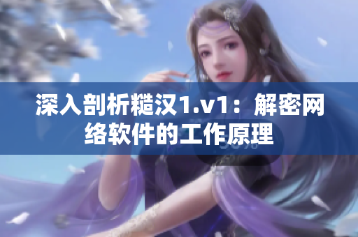 深入剖析糙汉1.v1：解密网络软件的工作原理