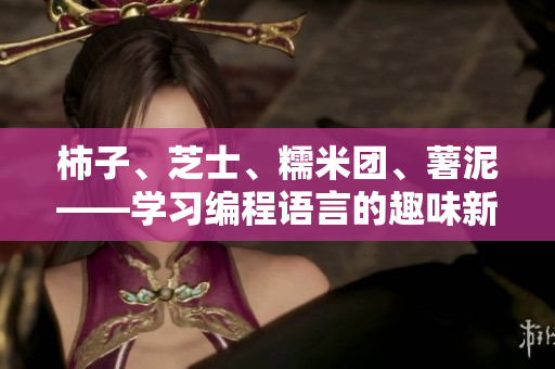 柿子、芝士、糯米团、薯泥——学习编程语言的趣味新体验