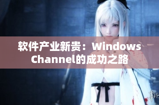 软件产业新贵：WindowsChannel的成功之路