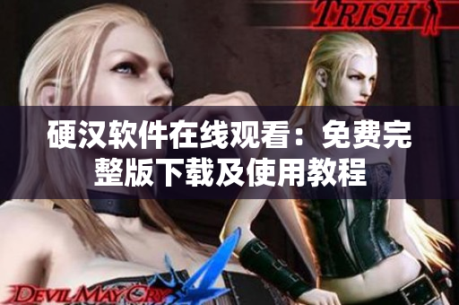 硬汉软件在线观看：免费完整版下载及使用教程